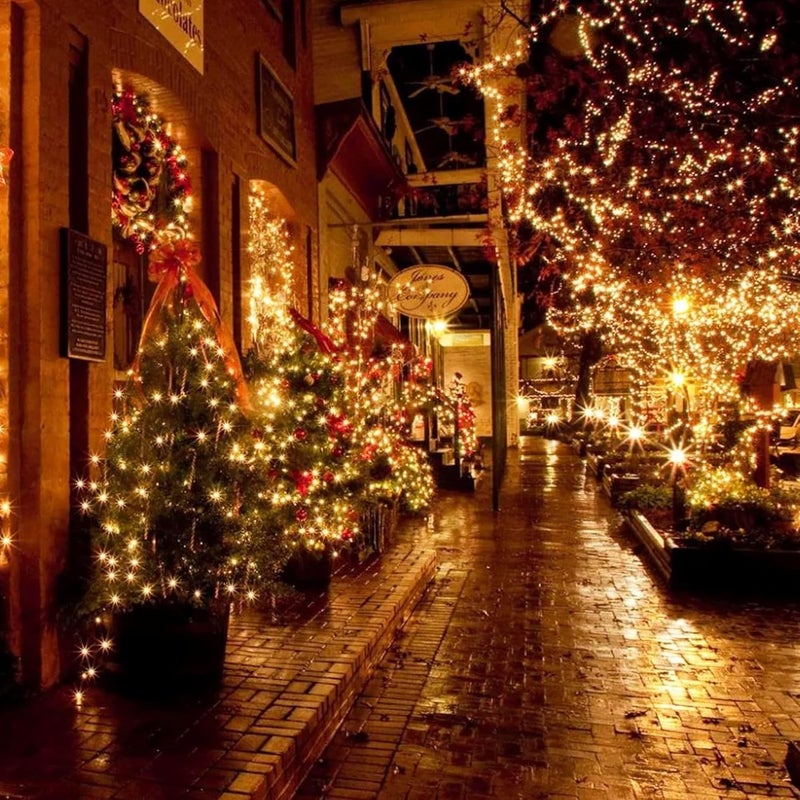 FUNPENY 164FT 500 LED Christmas Indoor Outdoor Decorative String Lights, 8 Modes Waterproof Green Wire LED Fairy Light for Christmas Party Wedding Garden Home Decoration (Warm White) - Image 5